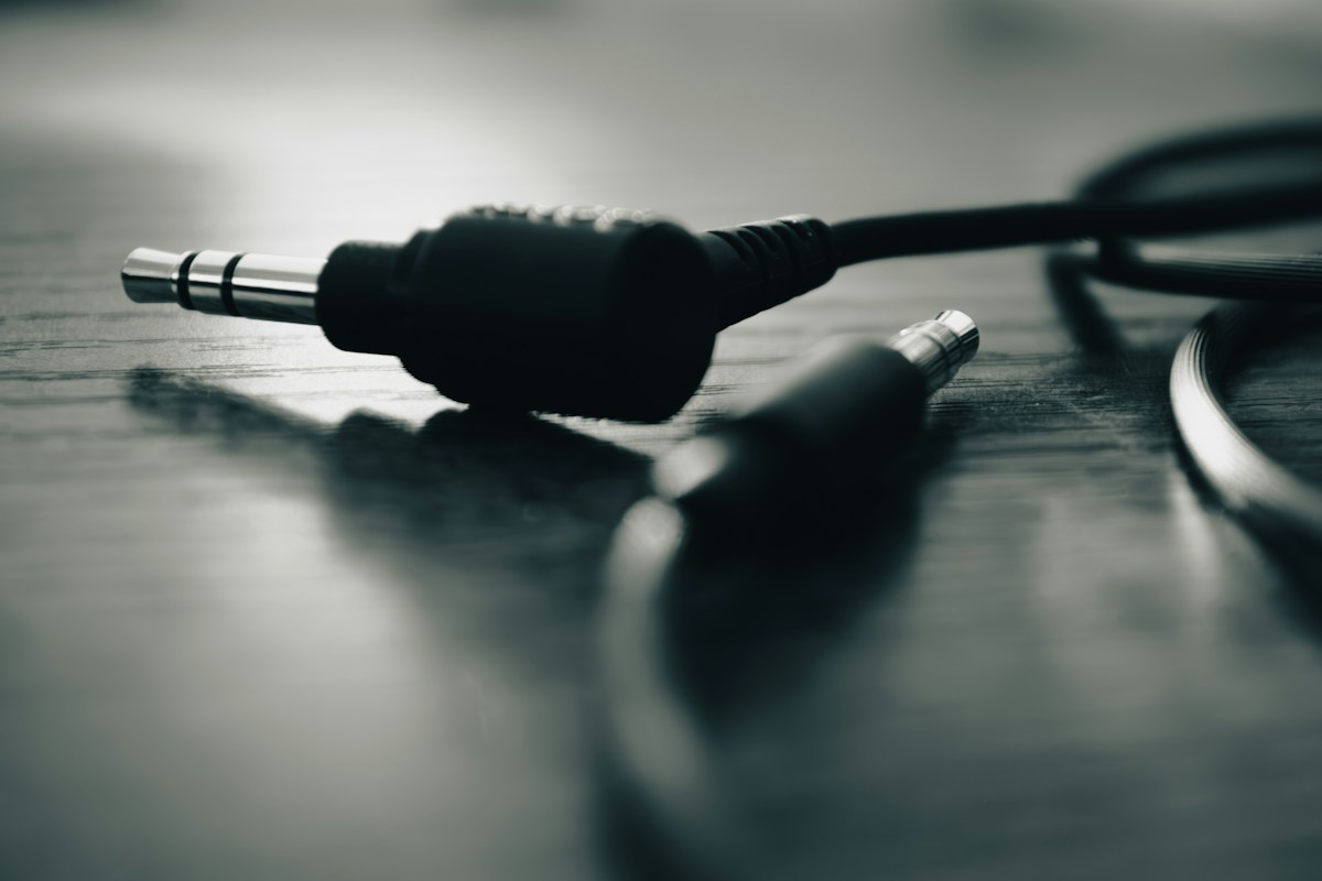 Headphone Jack Adapter (1 pc)